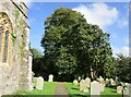 Footpath through the churchyard, Morchard Bishop