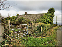 S6550 : Cottage Ruin by kevin higgins