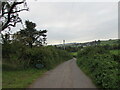 Minor road between hedges on the descent towards Llanddewi Rhydderch, Monmouthshire