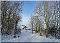 NZ1050 : View of Terris Novalis in the snow by Robert Graham
