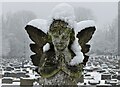 Angel on the Proudlock family grave