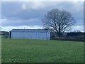 Barn and tree