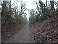 Castlecroft Path