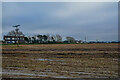 Braunton : Muddy Field