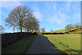 Green Lane outside Hesketh Park Farm