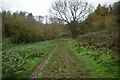 Footpath to Sevenoaks