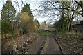 SE6252 : Path by Tang Hall Beck in Heworth Holme by DS Pugh