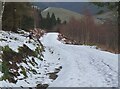 NT2938 : Snowy track, Cardrona Forest by Jim Barton