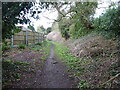 A footpath in Hanwood