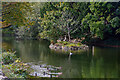 Bonchurch : Bonchurch Pond