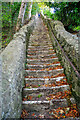 Bonchurch : Footpath