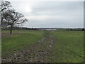 Rural view near Whitley Grange