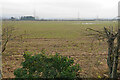 Farmland near Culham