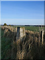 Triangulation pillar near Swintonmill