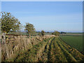 Field margin near Swintonmill triangulation pillar