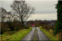 H5172 : Crocknacor Road, Cloghfin by Kenneth  Allen
