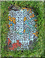 Mosaic in Kelvingrove Square community garden