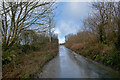 West Down : Country Lane