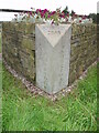 Not so old Boundary Marker on New Road, Anderton