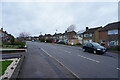 Brisbane Road