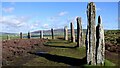 HY2913 : Ring Of Brodgar Stone Circle and Henge by Sandy Gerrard