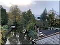 River Chelmer from the Riverside Inn, Chelmsford