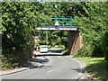 TL4703 : Railway bridge, Coopersale Common by Robin Webster