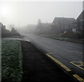 Into the fog, Rowan Way, Malpas, Newport