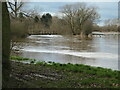 Flooding in the Trent valley, King