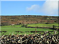 Looking towards Cragg Cottage