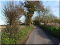 Looking towards North Walsham