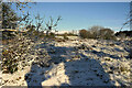 Snow, Killycurragh