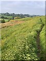 SJ7949 : Footpath through field south of Audley by Jonathan Hutchins