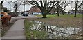 Path Leading to Westpole Avenue, Cockfosters