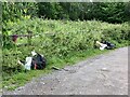 SJ7948 : Fly-tipping in Bateswood CP car park by Jonathan Hutchins
