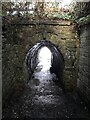 ST7597 : Unusual bridge or tunnel over the footpath by don cload