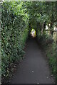 Narrow footpath, Powder Mills