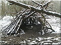 Piles of wood and piles of snow