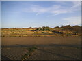 Coast path in Capel-le-Ferne