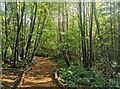 TQ4551 : Path through Woods, Chartwell by PAUL FARMER