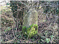 Old Milestone, Stuston