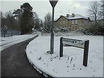 H4772 : Snow, Riverview Road, Cranny by Kenneth  Allen