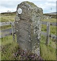 NG4249 : Clach Ard Pictish Symbol Stone by Sandy Gerrard