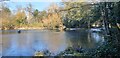 Pond at Lakesied, Enfield