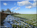 Snowy field near Hough on the Hill