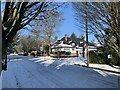 Elm Avenue, Beeston