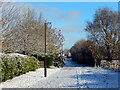 Path on Cawston Grange Estate