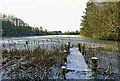 Frozen Kirkbride Pond