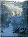 SK5940 : Snow in Colwick Woods Park by Alan Murray-Rust