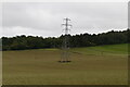 Pylon in chalk grassland